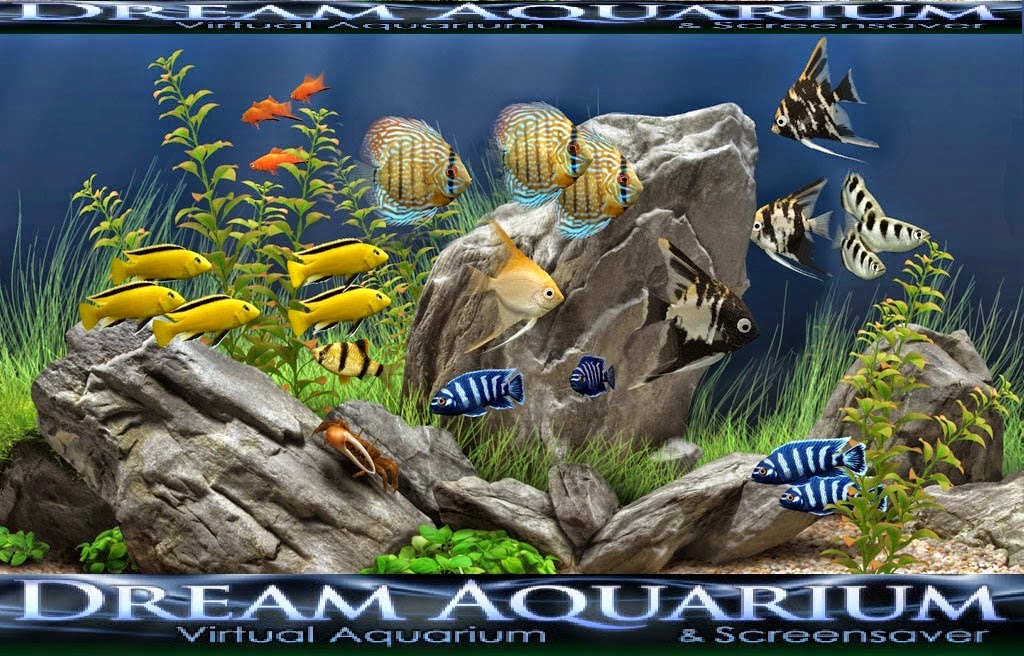 dream aquarium full version